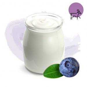Yogur ecológico con mermelada de arandanos